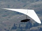 North Wing  Liberty Hang Glider