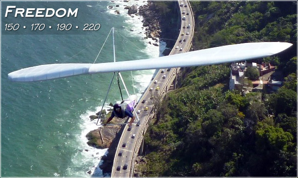 North Wing Design � Freedom Hang Glider