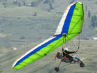 Solairus Light Trike Wing