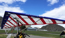 Mustang Wing - strutted wing for 2-place light sport aircraft