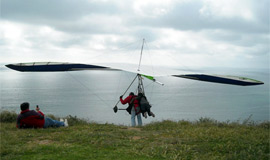 Freedom 220 Tandem hang glider