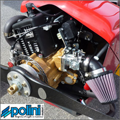 Polini THOR 200 engine for the Solairus soaring trike