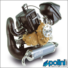 Polini THOR 200 engine for the Solairus soaring trike